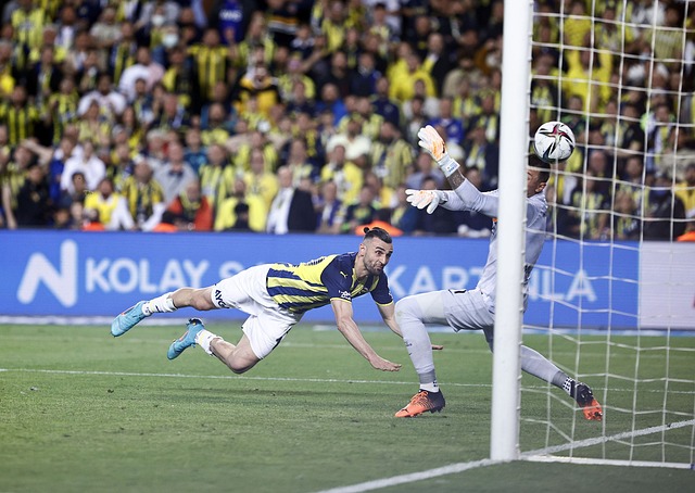 这不过是丹 这不过是丹