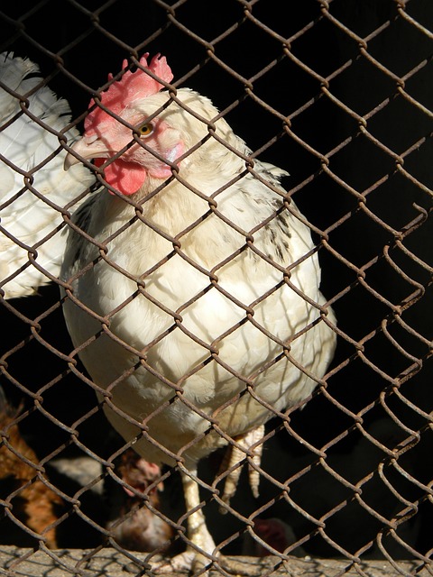 对穆里尼奥 对穆里尼奥