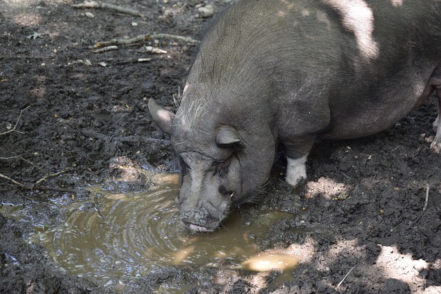 遇到一些 遇到一些